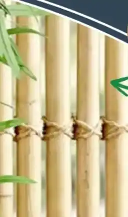 Thomas Philipps Bambus-Stangen Angebot