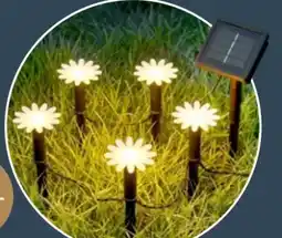 Thomas Philipps LED-Solar-Lichterkette Angebot