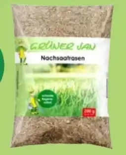Thomas Philipps Grüner Jan Nachsaatrasen Angebot