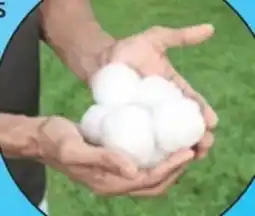 Thomas Philipps Filterbälle Angebot