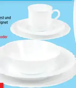 Thomas Philipps Teller Angebot