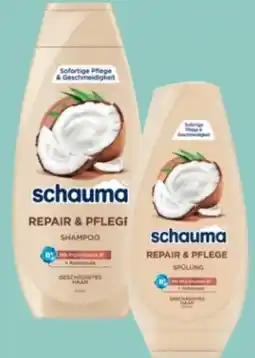 Rossmann Schwarzkopf Schauma Shampoo Angebot