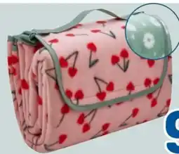 Rossmann Rossmann Ideenwelt Picknickdecke Angebot