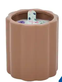 Rossmann Rubin Licht Keramik-Duftkerzen Angebot