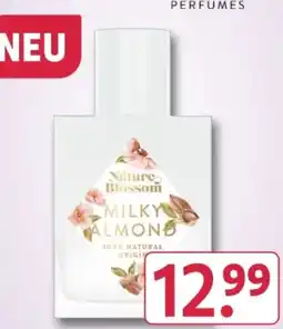 Rossmann Nature Blossom Damen Milky Almond EdP Angebot