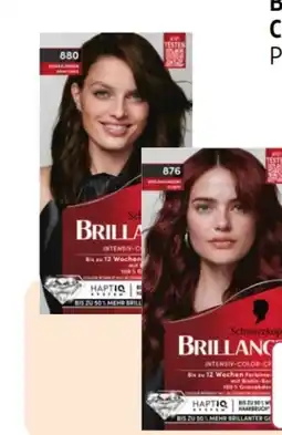 Rossmann Schwarzkopf Brillance Coloration Angebot