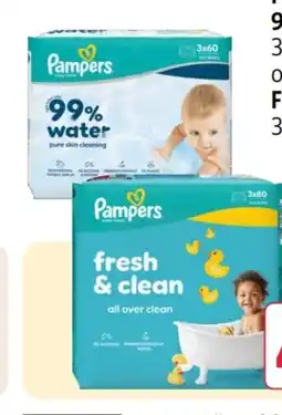 Rossmann Pampers Fresh Clean Feuchttücher Angebot