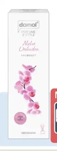 Rossmann Domol Perfume & Style Raumduft Angebot