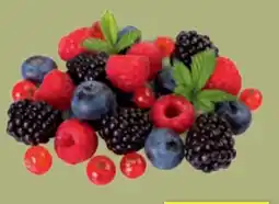 toom Baumarkt Toom Naturtalent Bio-Beerenobst Angebot