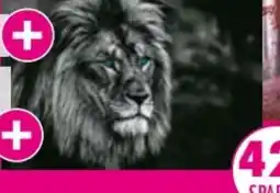 Möbel Boss Wandbilder Angebot