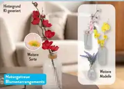 Aldi Süd Home Creation Vasen Angebot