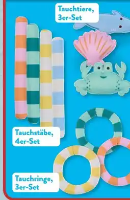 Aldi Süd Crane Tauchzubehör Angebot