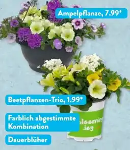 Aldi Süd Gardenline Ton in Angebot
