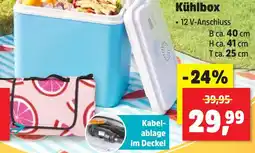 Thomas Philipps Kühlbox Angebot