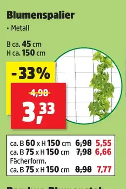 Thomas Philipps Blumenspalier Angebot