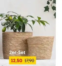 Rusta 2er-set pflanzkörbe Angebot