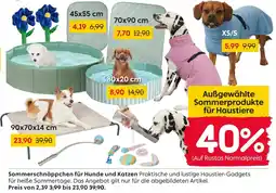 Rusta Blumen-spielzeug Angebot