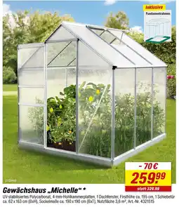 toom Baumarkt Gewächshaus michelle Angebot