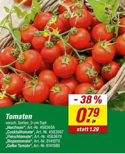 toom Baumarkt Tomaten Angebot