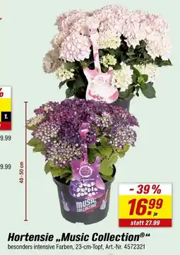 toom Baumarkt Hortensie music collection Angebot
