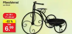 Zimmermann Pflanzfahrrad Angebot