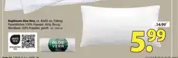 Zurbrüggen Kopfkissen aloe vera Angebot