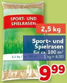 CENTERSHOP Sport und Spielrasen Angebot