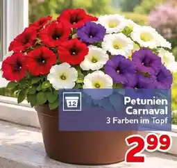 CENTERSHOP Petunien Carnaval Angebot