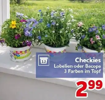 CENTERSHOP Checkies Angebot