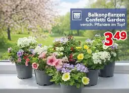 CENTERSHOP Balkonpflanzen Confetti Garden Angebot