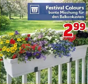 CENTERSHOP Festival Colours Angebot