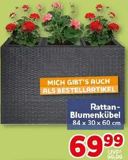 CENTERSHOP Rattan Blumenkübel Angebot