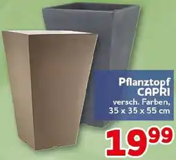 CENTERSHOP Pflanztopf CAPRI Angebot