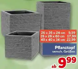 CENTERSHOP Pflanztopf Angebot