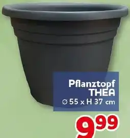 CENTERSHOP Pflanztopf THEA Angebot