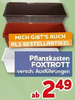 CENTERSHOP Pflanzkasten FOXTROTT Angebot