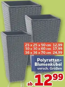 CENTERSHOP Polyrattan Blumenkübel Angebot