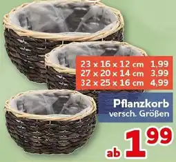 CENTERSHOP Pflanzkorb Angebot