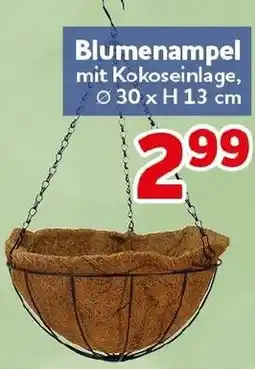 CENTERSHOP Blumenampel Angebot