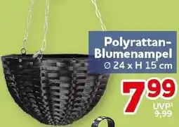 CENTERSHOP Polyrattan Blumenampel Angebot
