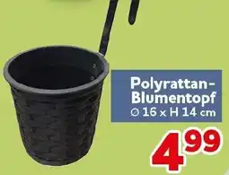 CENTERSHOP Polyrattan Blumentopf Angebot