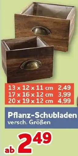 CENTERSHOP Pflanz-Schubladen Angebot
