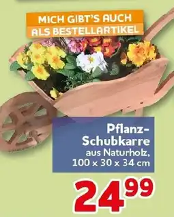CENTERSHOP Pflanz Schubkarre Angebot