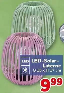 CENTERSHOP LED-Solar Laterne Angebot