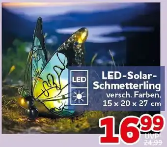 CENTERSHOP LED-Solar Schmetterling Angebot