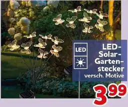 CENTERSHOP LED Solar Gartenstecker Angebot