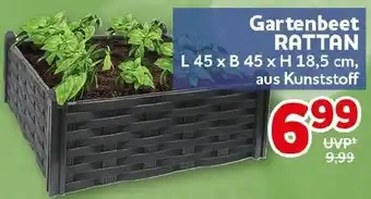 CENTERSHOP Gartenbeet RATTAN Angebot
