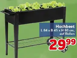 CENTERSHOP Hochbeet Angebot
