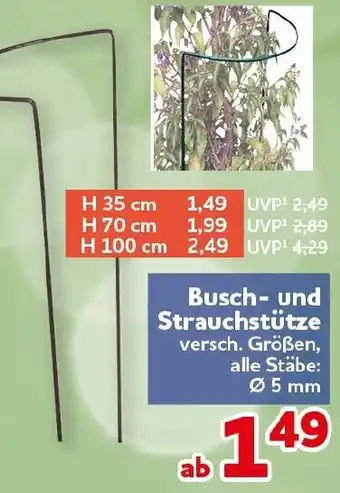 CENTERSHOP Busch und Strauchstütze Angebot