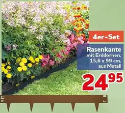 CENTERSHOP Rasenkante Angebot